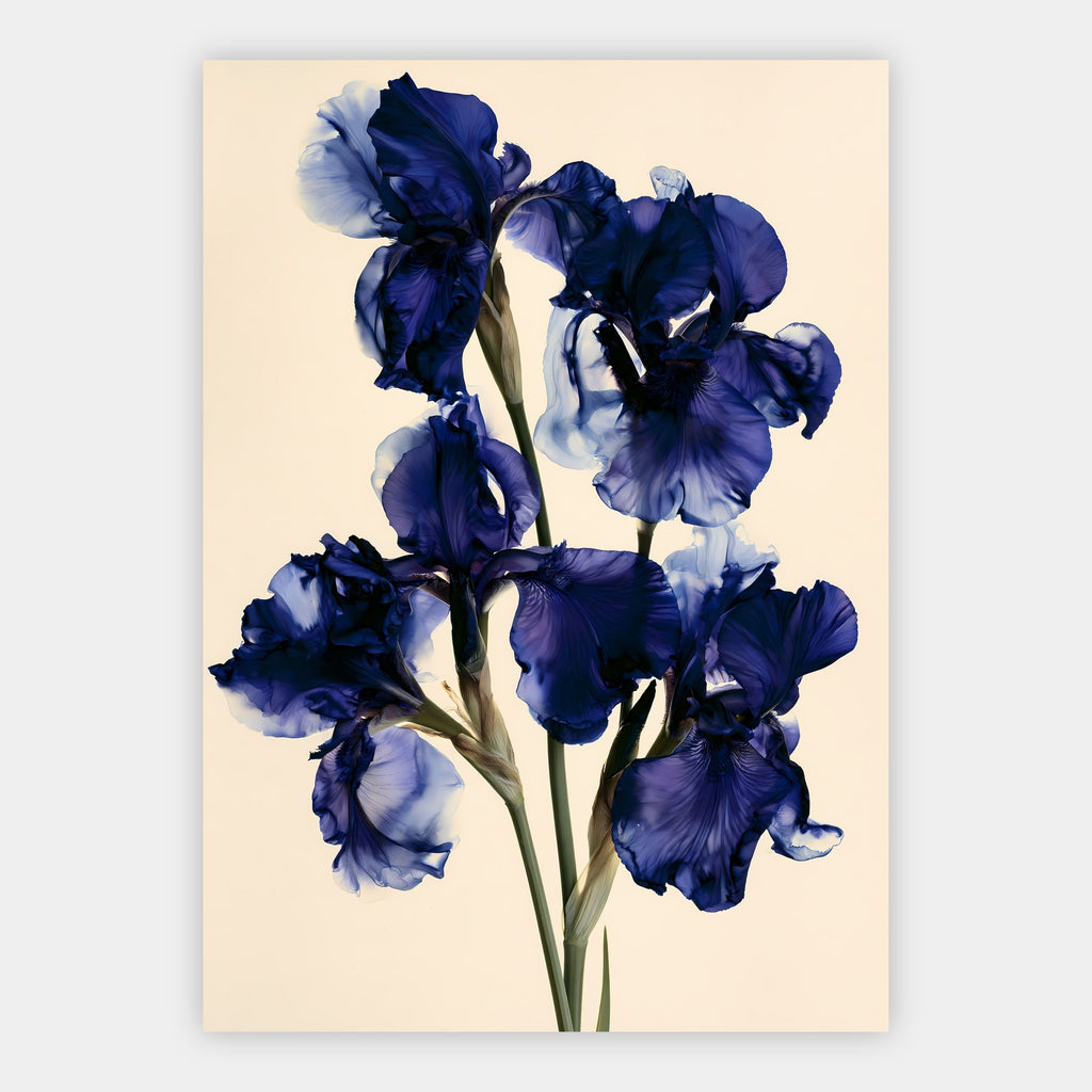 Iris in Indigo Poster – Freisteller