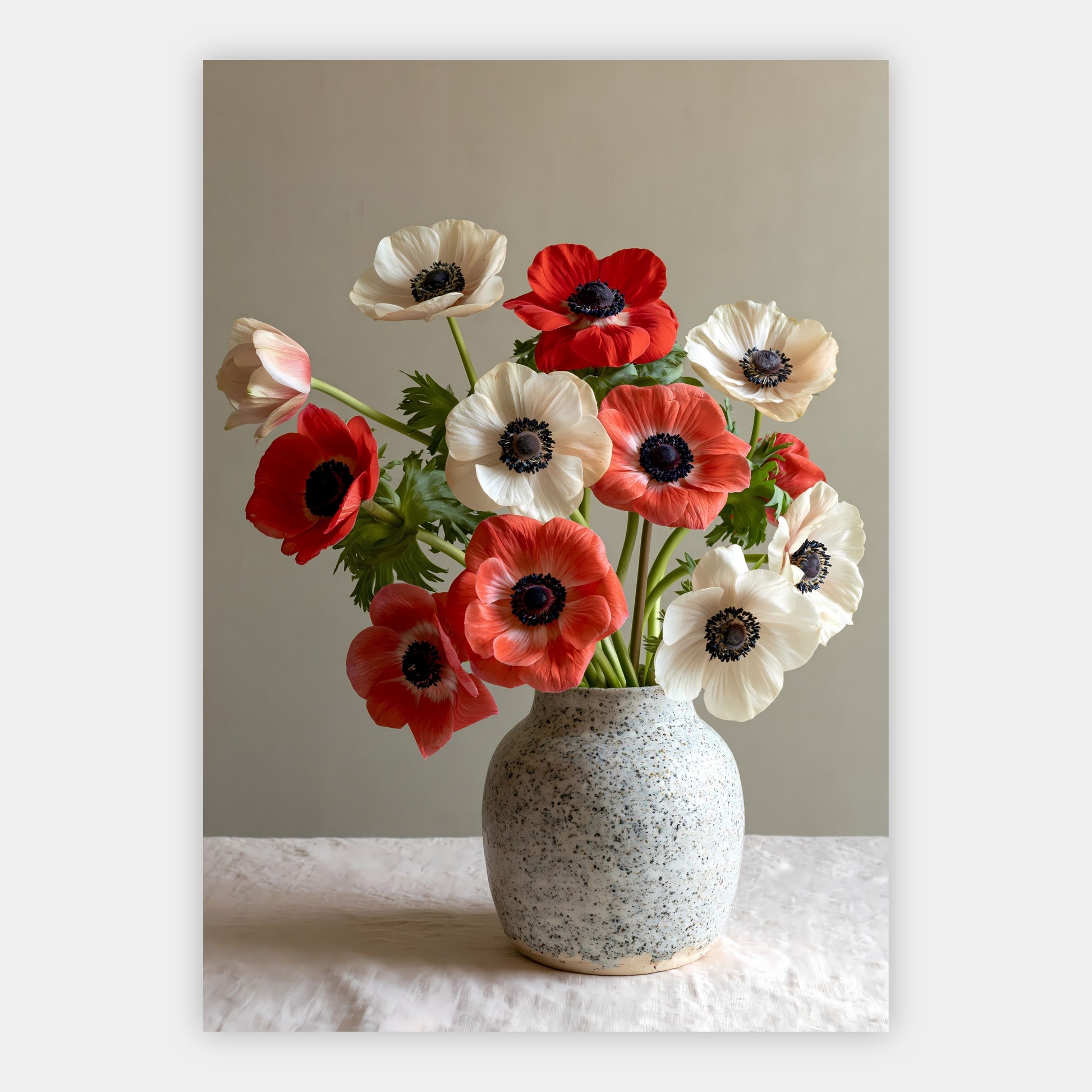 Anemonen in Keramikvase Poster – Freisteller