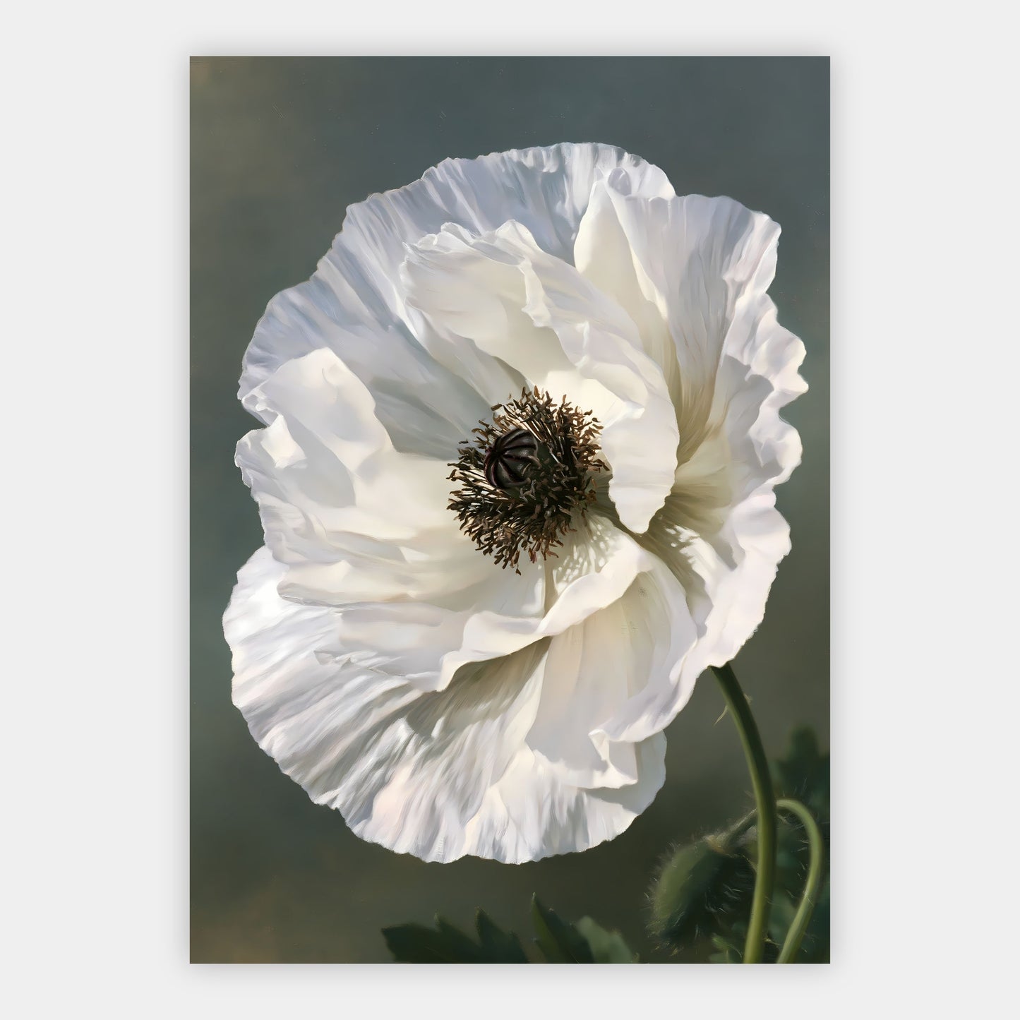 Weiße Mohnblüte Poster – Freisteller