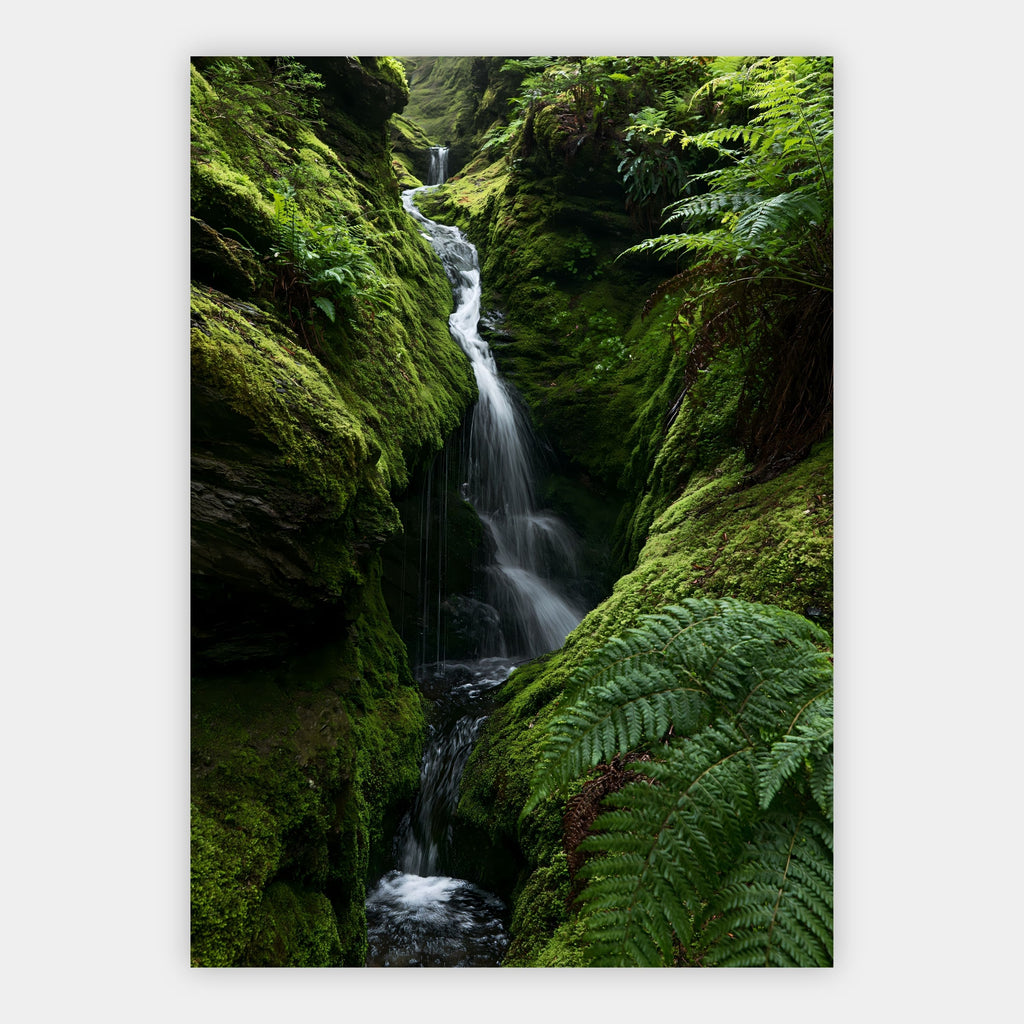 Wasserfall im Farnwald Poster – Freisteller
