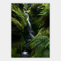 Wasserfall im Farnwald Poster – Freisteller