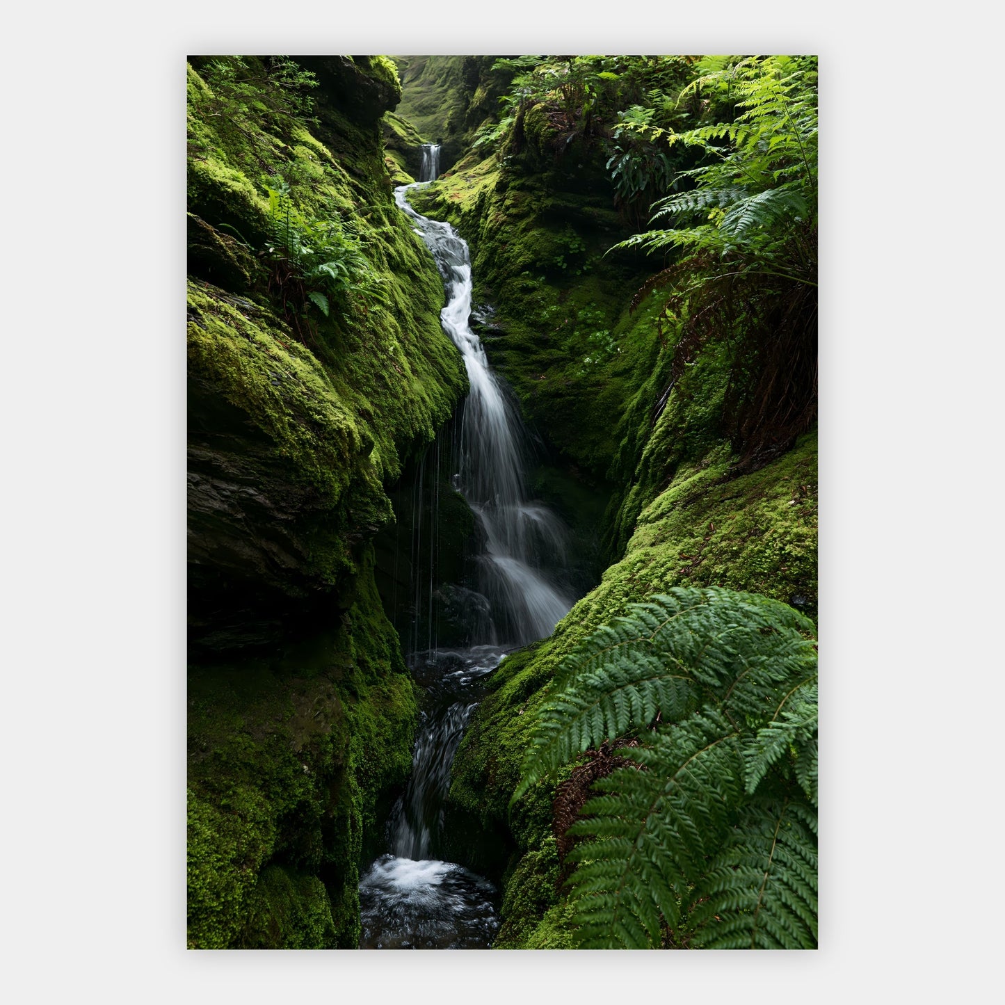 Wasserfall im Farnwald Poster – Freisteller