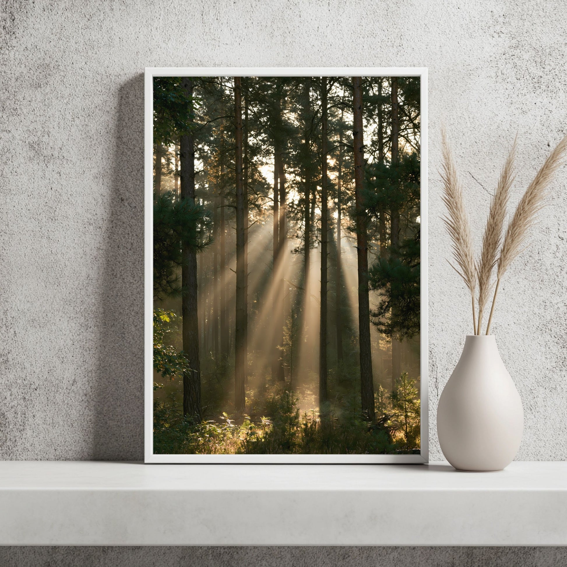 Sonnenstrahlen im Kiefernwald Poster – Raumansicht 2