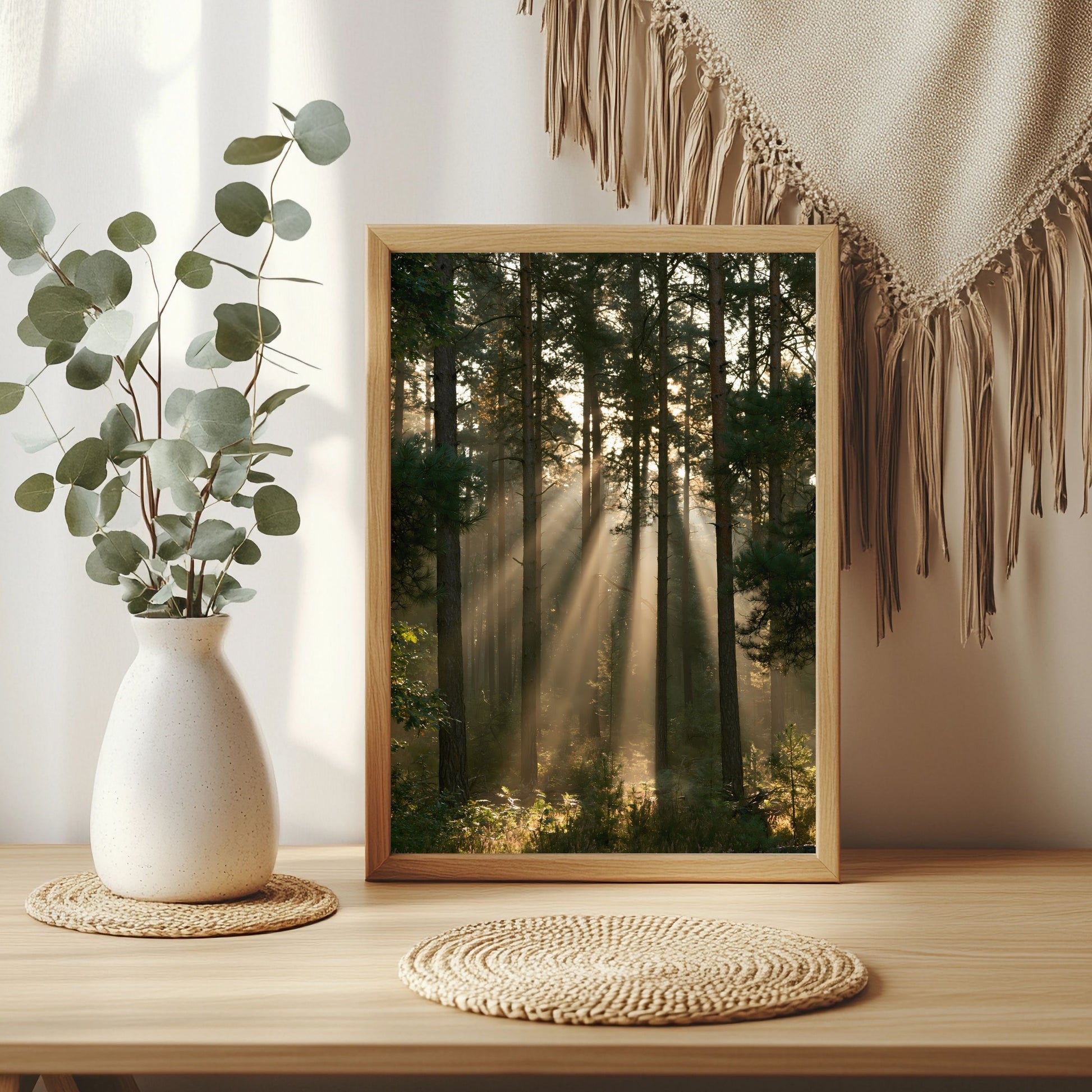 Sonnenstrahlen im Kiefernwald Poster – Raumansicht 3